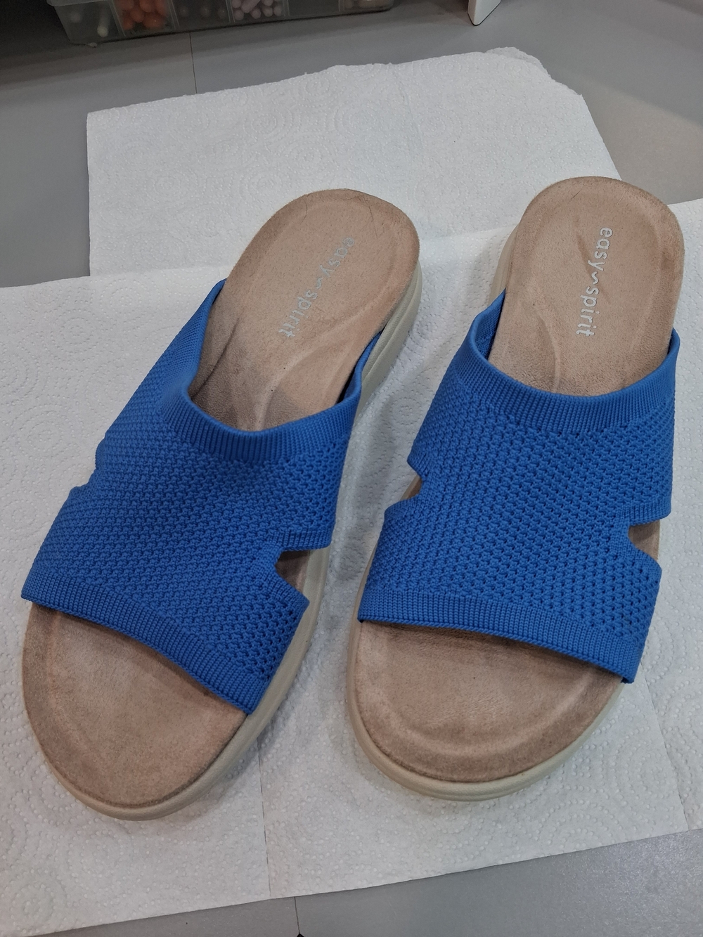 Easy Spirit Women's Blue Slip-On Sandals
